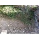 Properties for Sale_Palazzo Cecco Bianchi in Le Marche_6